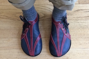 A pair of dark blue leather shoes with red highlights and black laces through silver grommets on the outside of the foot. Design copyright tozafoot